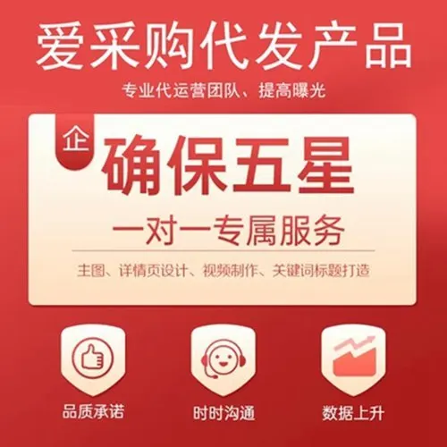 网店策划 店铺托管代运营 电商服务平台营销推广服务 一对一服务