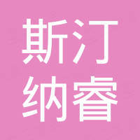 武义斯汀纳睿三维科技有限公司