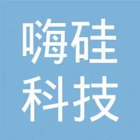 上海嗨硅科技有限公司