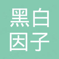 深圳市黑白因子科技有限公司