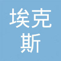 重庆埃克斯金属有限公司