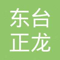 东台市正龙电热电器厂