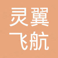 灵翼飞航（天津）科技有限公司