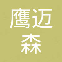 南阳鹰迈森科技有限公司