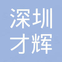 深圳市才辉网络科技有限公司