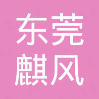 东莞市麒风电子科技有限公司