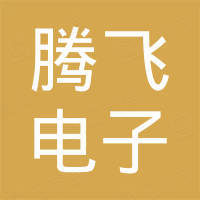 乐清市腾飞电子有限公司