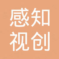 深圳市感知视创科技有限公司