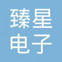 恩平市臻星电子有限公司