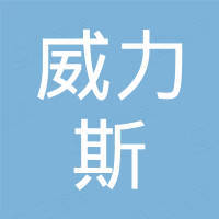 恩平市威力斯电子科技有限公司