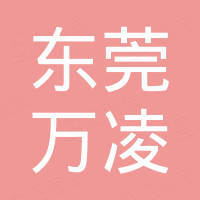 东莞市万凌电子科技有限公司
