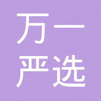 深圳市万一严选科技有限公司
