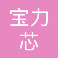 成都宝力芯电子科技有限公司