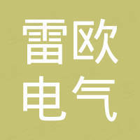 宁波雷欧电气有限公司