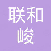 深圳市联和峻电子有限公司