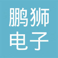 上海鹏狮电子有限公司