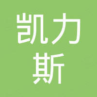 昆山凯力斯电子有限公司