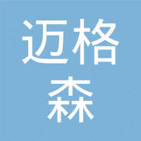 陕西迈格森电子科技有限公司 陕西迈格森电子科技有限公司