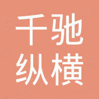 广东千驰纵横电子科技有限公司