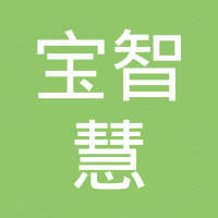 天津宝智慧钢铁贸易有限公司