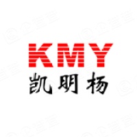 深圳市凯明杨科技有限公司