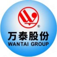 淮南万泰电子股份有限公司