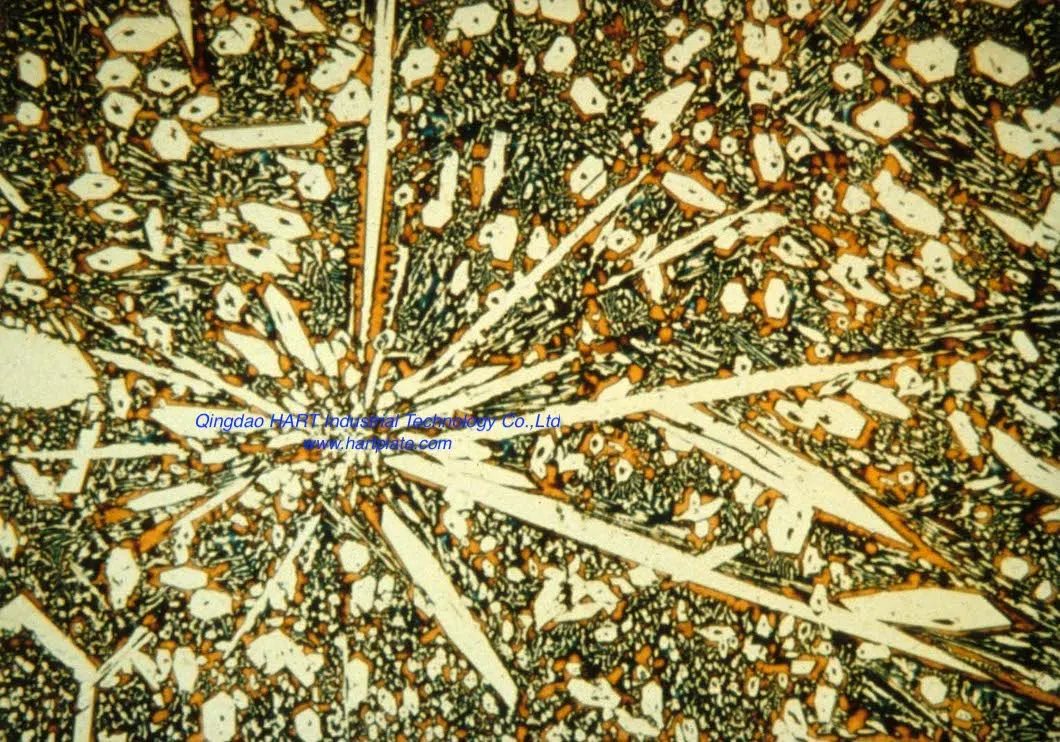 detail