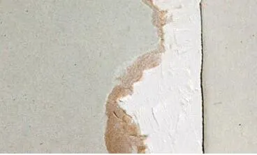 detail