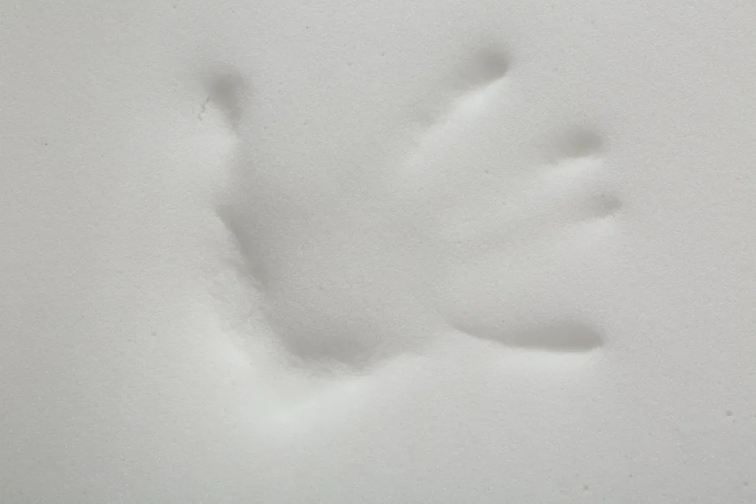 detail