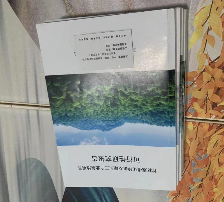 成都项目可行性研究报告编写 公司并购与重组可研报告咨询 出稿较快