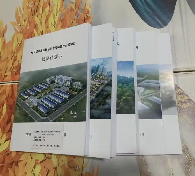 成都项目可行性研究报告编写 公司并购与重组可研报告咨询 出稿较快