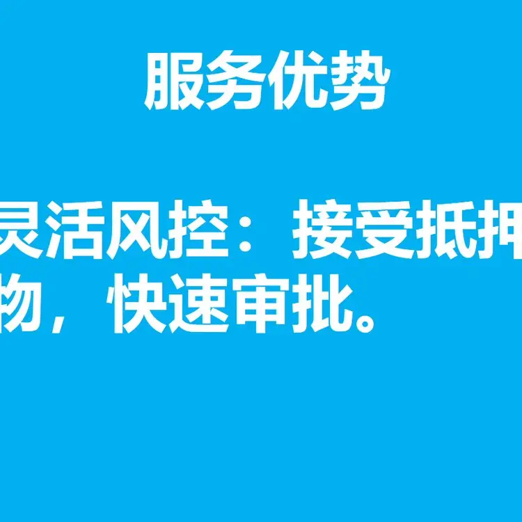 Family Trust Shareholding Structure Bridge Financing Services Flexible Risk Control Efficient and Convenient