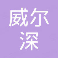 深圳市威尔深科技有限公司