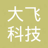 深圳大飞科技有限公司