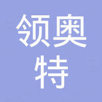 南京领奥特汽车科技有限公司