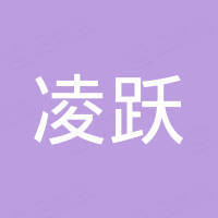广州凌跃汽车配件有限公司