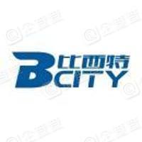 上海边城电子科技有限公司