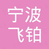 宁波飞铂通信技术有限公司