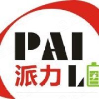 广东派力新能源有限公司