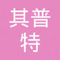 深圳市其普特电子有限公司