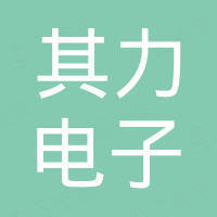 广州市其力电子有限公司