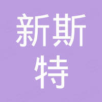 深圳市新斯特科技有限公司