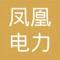 凤凰电力有限公司