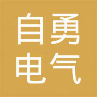 温州自勇电气有限公司