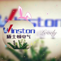 乐清市威士顿电气有限公司