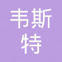 Shenzhen Weisite Electronic Technology Co., Ltd. Shenzhen Weisite Electronic Technology Co., Ltd.