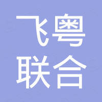 广东飞粤联合科技有限公司