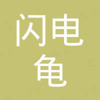 深圳市闪电龟科技电子有限公司 深圳市闪电龟科技电子有限公司