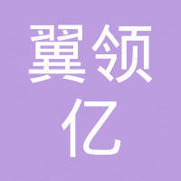 深圳市翼领亿科技有限公司