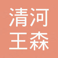 清河县王森汽车零部件有限公司